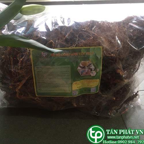 Cửa hàng bán rễ bồ công anh tại Tân Phú  tăng cường miễn dịch