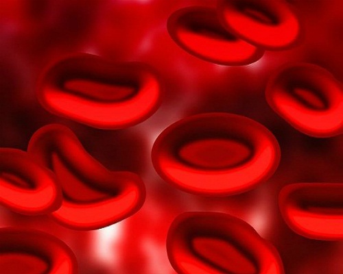 thông tin về nhóm máu của bạn