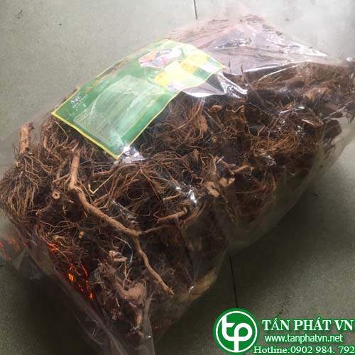Cửa hàng bán rễ bồ công anh tại Ninh Bình trị nhiễm trùng đường tiết niệu