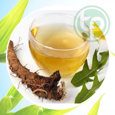 ở đâu bán bồ công anh tại Bắc Kạn chất lượng